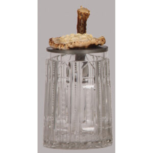 Glass stein, .3L, blown, pewter lid with carved horn.