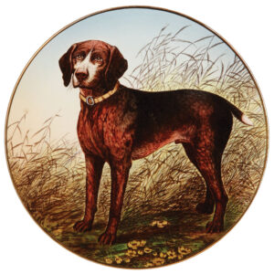 Mettlach plaque, 13.8" d., German Shorthaired Pointer.